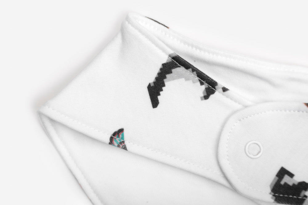 Vancouver Views Bib