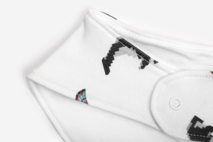 Vancouver Views Bib
